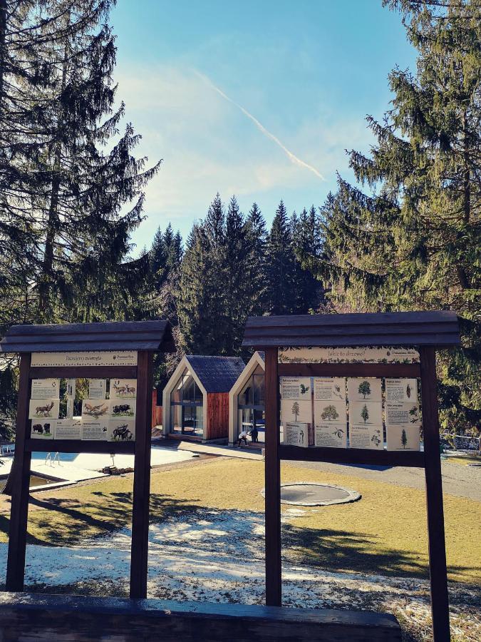 Drewniana Roza Domki Karkonosze Piechowice  Exterior photo